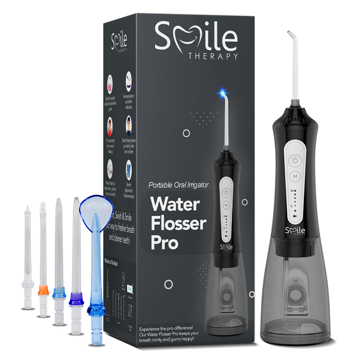 Water Flosser Pro DP4