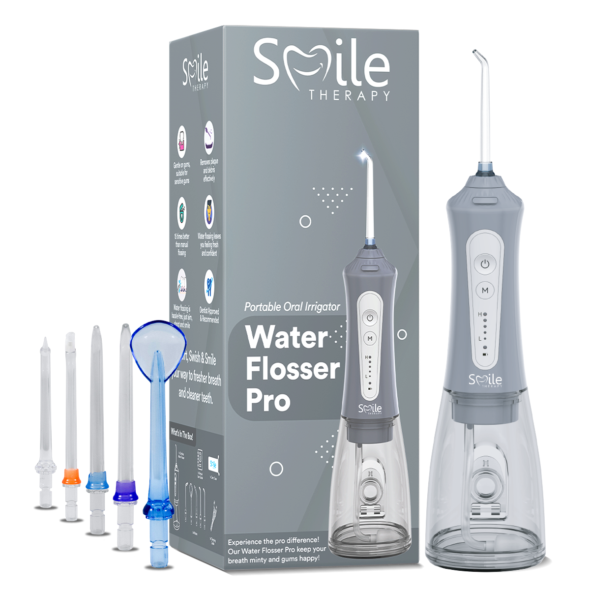 Water Flosser Pro DP4