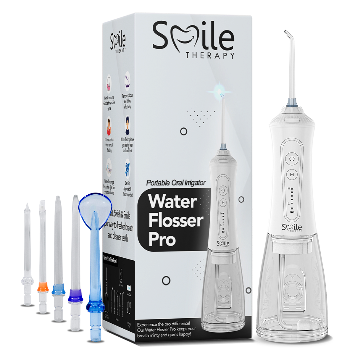 Water Flosser Pro DP4