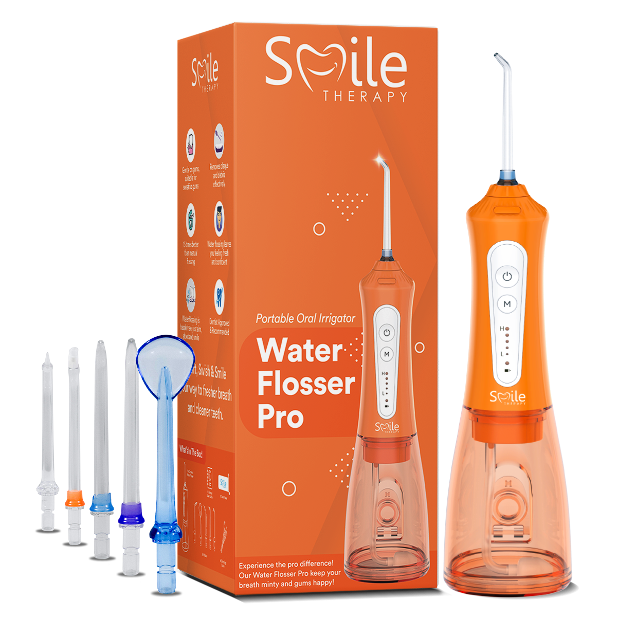 Water Flosser Pro DP4