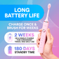 6 in 1 Sonic Electric Toothbrush DP6